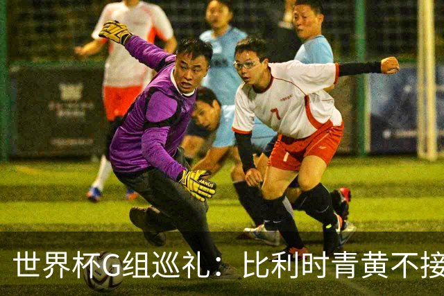 世界杯G组巡礼：比利时青黄不接 伊朗赴美参赛风波不断
